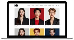 loyalty to distinct brands