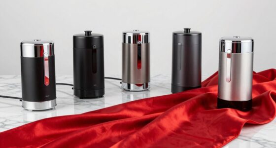luxury travel garment steamers