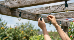 12 Best Patriotic Outdoor String Lights in 2026
