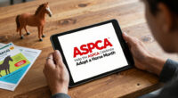 Celebrities and Influencers Help the ASPCA Celebrate Adopt a Horse Month!