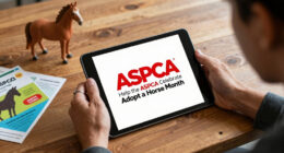 Celebrities and Influencers Help the ASPCA Celebrate Adopt a Horse Month!