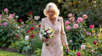 Queen Camilla's Lifestyle Influence Takes Center Stage Worldwide
